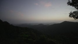 14mm.jpg