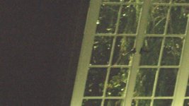A003_C001_0302PO.0000603.jpg