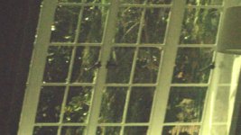 A003_C001_0302PO.0000604.jpg