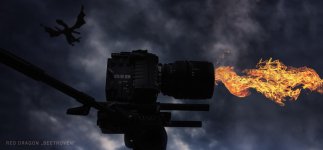 DRAGON FIRED2.jpg