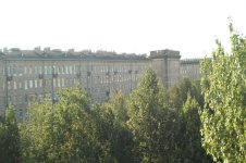 F=60.jpg
