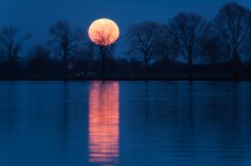 moon.jpg