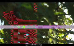 Bad Transcode screen shot.jpg