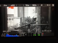 IMG_1797 copia.jpg