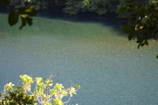 Jellyfish_lake_view.jpg
