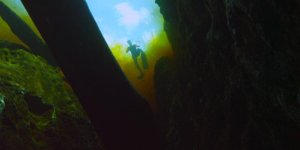 Springs03.jpg