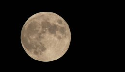 Moon1000.jpg