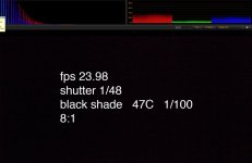 BS 48 100.jpg