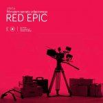 Koi Studio - oferta1.jpg