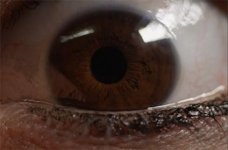 Eye.jpg
