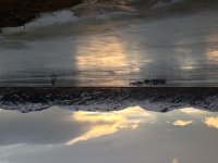 IMG_1652.jpg