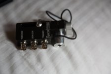 RK6A0365.jpg
