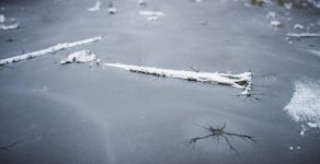 snow-dragon_7.jpg