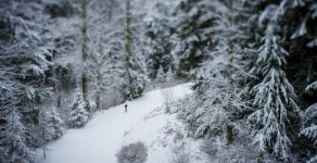 snow-dragon_17.jpg