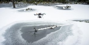 snow-dragon_50.jpg