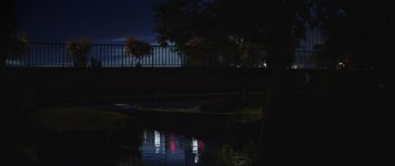 BRIDGE +1.jpg