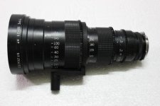 IMG_8851.jpg