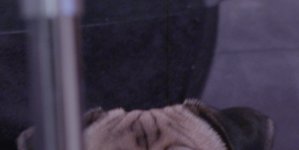 zoom.jpg