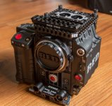 redCamera_BRAIN1.jpg