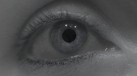 eye1.JPG