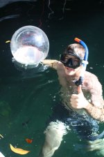 Willy's_Bubble.jpg