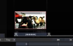 DPX Source preview look in Construct Window.jpg