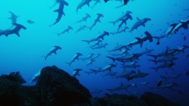 hammerhead-rocks.jpg