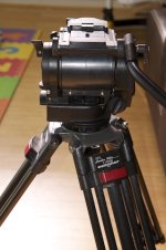 DSC00889.jpg