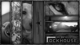 vimeo banner composite.jpg