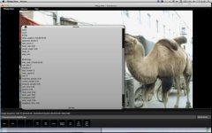 Pihlaja view DPX file header info 3.jpg