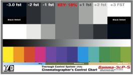 Gamma Density chart.jpg