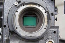 ACAM8129a.jpg