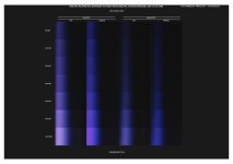 Epic MX & Dragon Spectral Response to UV with a view to Filtration 3.jpg
