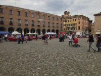 IMG_0803.jpg