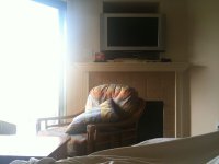 HotelLight.jpg