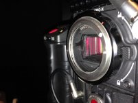 Nikon-mount.jpg