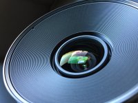IMG_2447.jpg