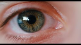 EyeVinci_1.1.1.jpg