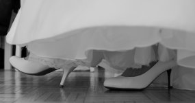 More-6.jpg