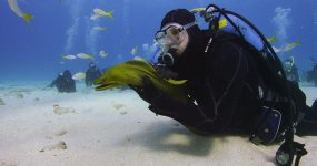 Boomer-Eel-EPIC.jpg
