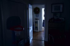 IMG_7731.jpg IMG_7731.jpg