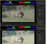 PastedGraphic-9.jpg