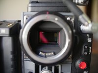 zP2900339.jpg
