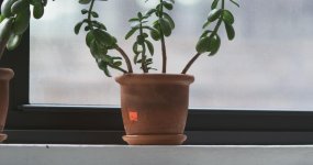 P67-200mm_small.jpg