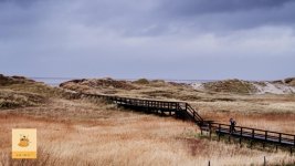printus_westerhever_3.jpg