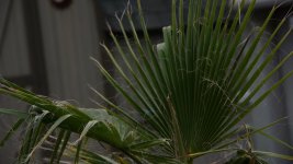 plantgood.jpg