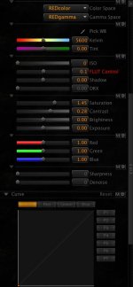 REDcine_Bug.jpg