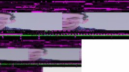 1_g1.jpg