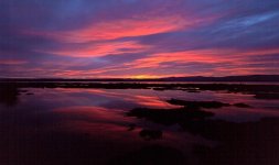 IMG_0490.jpg
