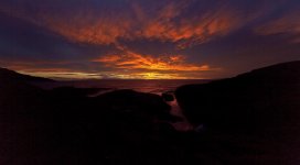 IMG_0480.jpg